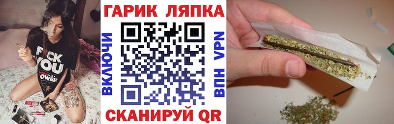 ГАШ Изолятор Боровичи