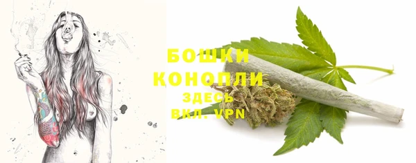 бошки Осташков
