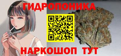стафф Балаково