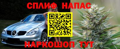 ГАЛЛЮЦИНОГЕННЫЕ ГРИБЫ Беслан