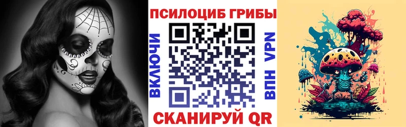 Псилоцибиновые грибы Psilocybe MEGA маркетплейс Боровичи