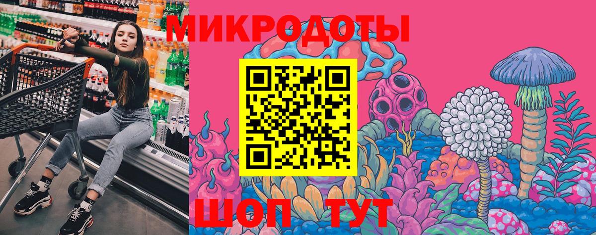 Псилоцибиновые грибы Psilocybe  Вход с VPN  Галлюциногенные грибы мицелий  Боровичи 