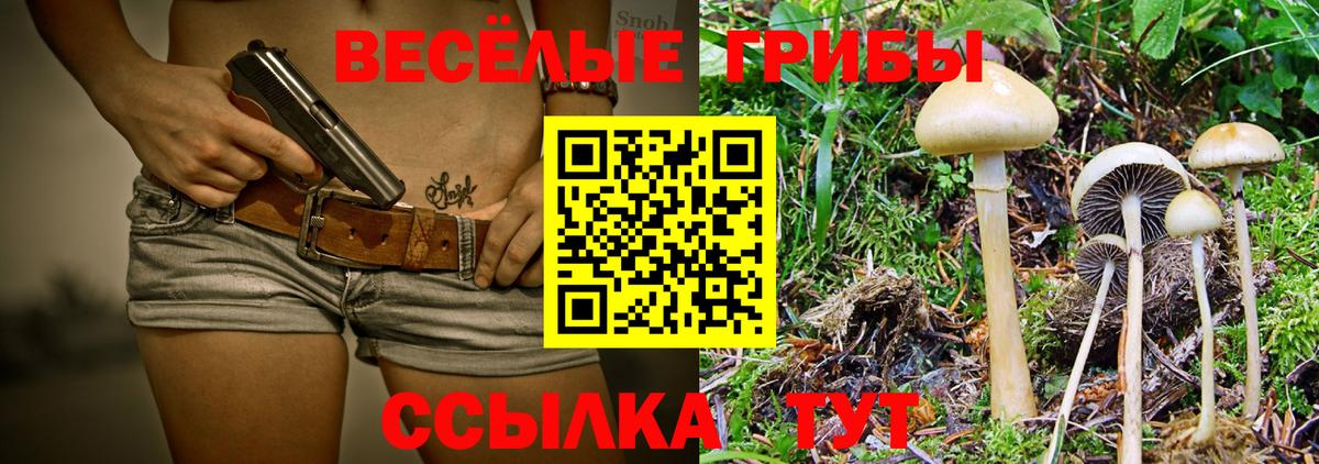 Галлюциногенные грибы Psilocybine cubensis Боровичи