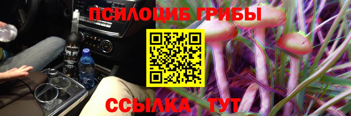 Псилоцибиновые грибы мицелий Боровичи